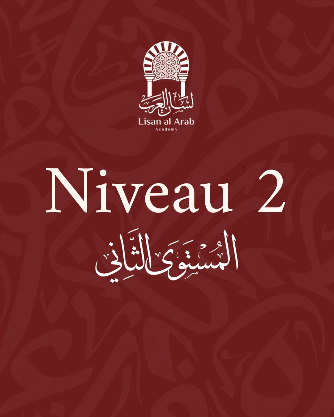 NIVEAU 2