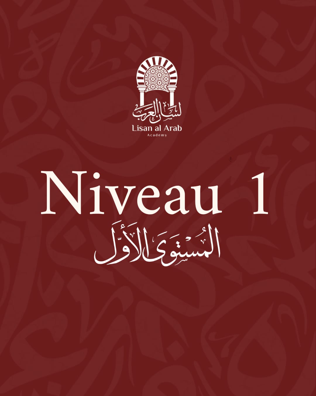 NIVEAU 1